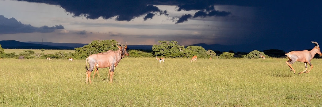 Parque Nacional de Aberdare