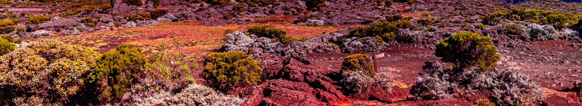 Viagens a**Piton de la Fournaise**