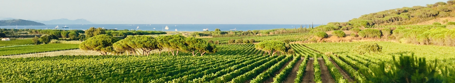Percursos De Carro Provence Alpes Côte D'azur