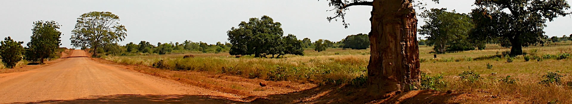 **Férias de sonho Gâmbia**