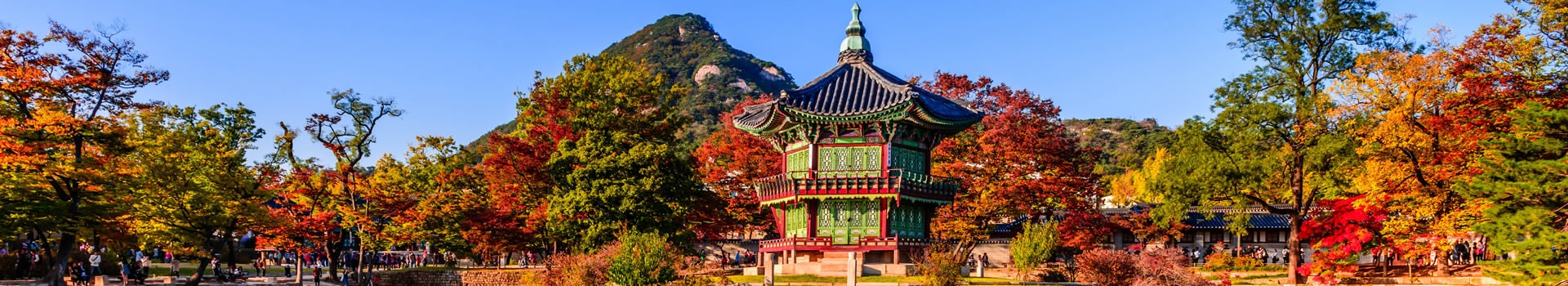 **Férias de sonho Coreia Do Sul**