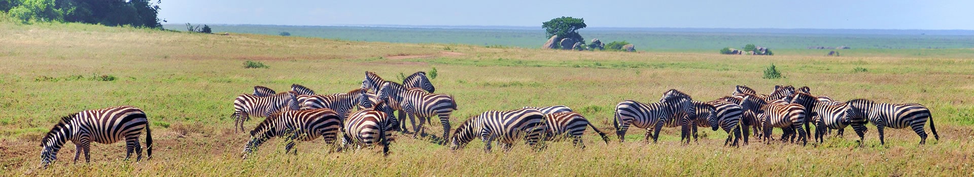 Dia da Imaculada Conceição em **Parque Nacional de Amboseli**