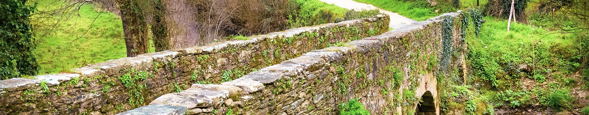 Caminho de Santiago a pé: de Lugo a Santiago de Compostela