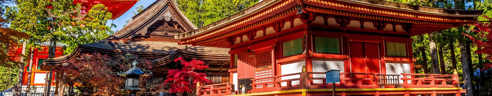 De Norte a Sul com Ise, Toba, Kumano e Koyasan