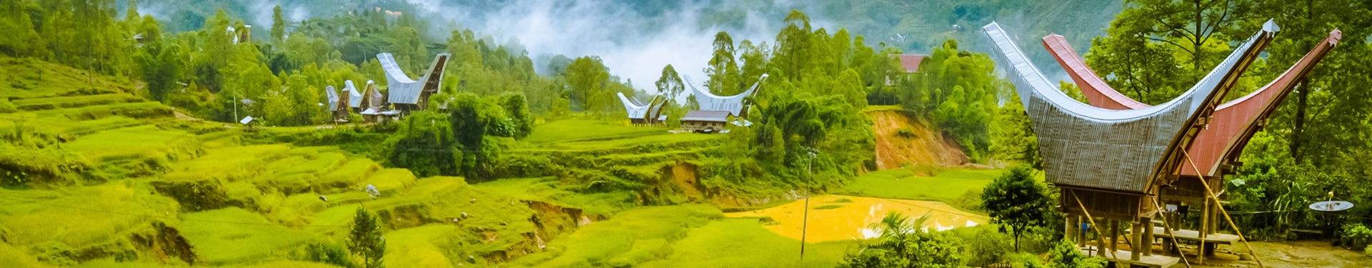 Sulawesi e Bali