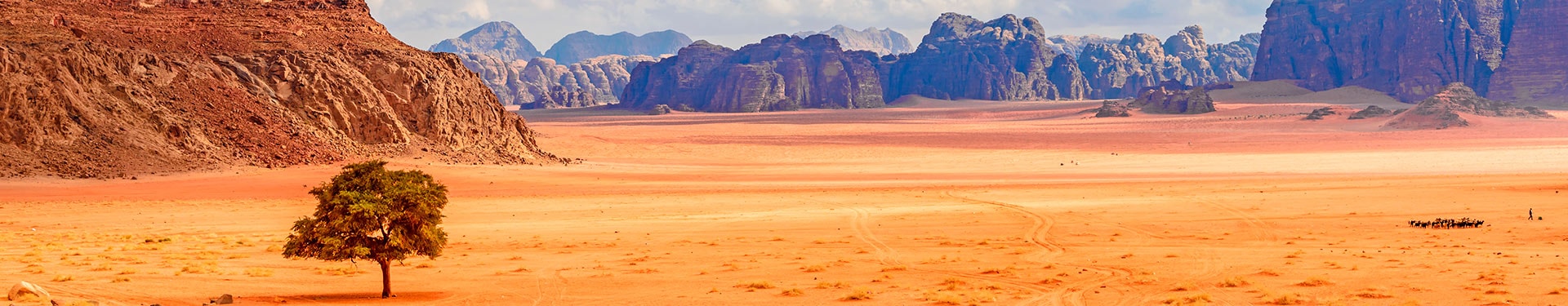 Jordânia com noite em Wadi Rum