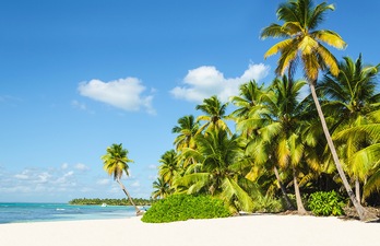 Jamaica Jamaica
