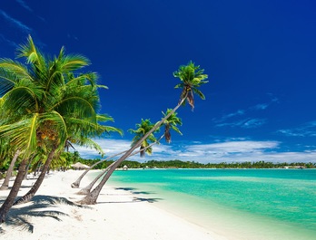 Fiji Fiji
