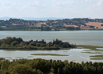 Chiusi Siena