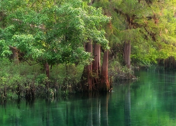 Crystal River