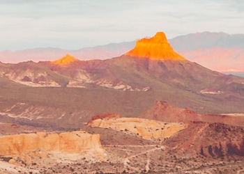 Kingman