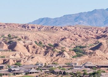 Mesquite