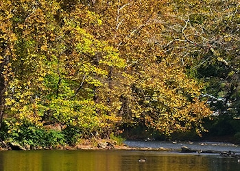 Cherokee - Nc