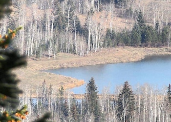 Mile House