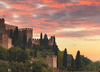 Soave Verona