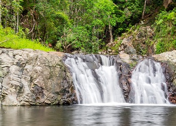 Currumbin Valley QLD