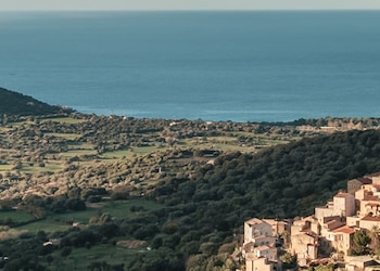 Aregno