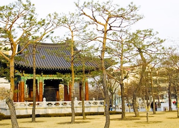 Daegu