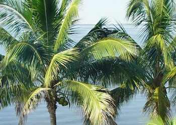Fort Myers