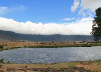 Ngorongoro