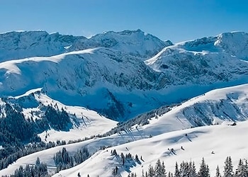 Saanen