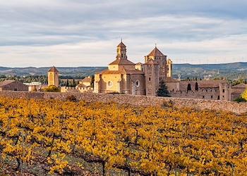 Vall del Monestir de Poblet