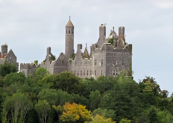 Limerick