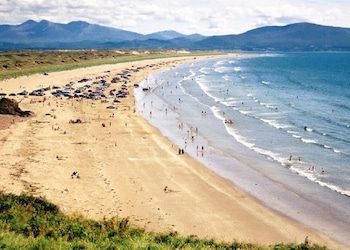 Dingle