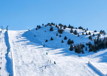 Masella