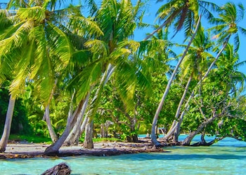 Tahaa