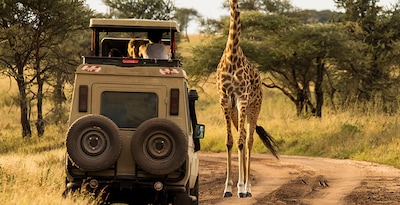África do Sul e Seicheles África do Sul e Seicheles