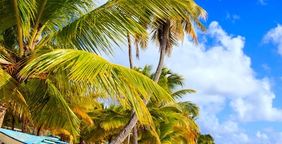 Peru e Punta Cana Peru e Punta Cana