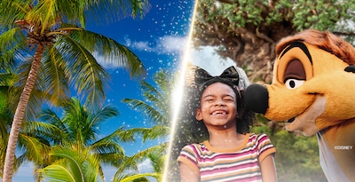 Walt Disney World Orlando e Punta Cana Walt Disney World Orlando e Punta Cana