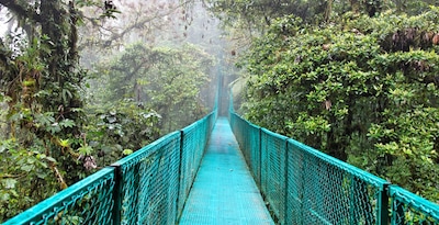 Tortuguero, Caribe, Arenal, Monteverde e Manuel Antonio Tortuguero, Caribe, Arenal, Monteverde e Manuel Antonio