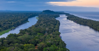 Tortuguero, Arenal, Monteverde, Manuel Antonio e noite en San José Tortuguero, Arenal, Monteverde, Manuel Antonio e noite en San José