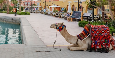 Cairo, Cruzeiro 4 noites e Hurghada Cairo, Cruzeiro 4 noites e Hurghada