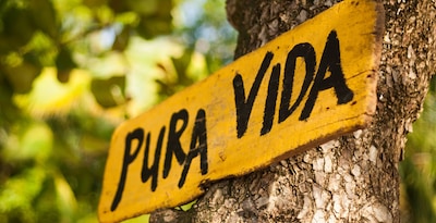 Percurso Pura Vida Percurso Pura Vida