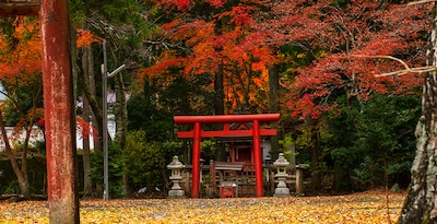Tóquio, Hiroshima, Mt. Koya, Quioto e Alpes Japoneses Tóquio, Hiroshima, Mt. Koya, Quioto e Alpes Japoneses