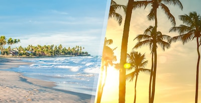 Fortaleza e Recife Fortaleza e Recife