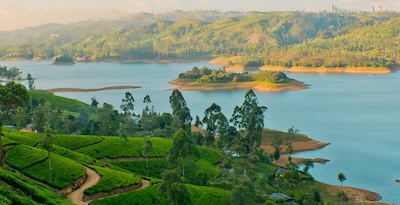 De Colombo a Sigiriya com Yala, Nuwara Eliya e Maldivas De Colombo a Sigiriya com Yala, Nuwara Eliya e Maldivas