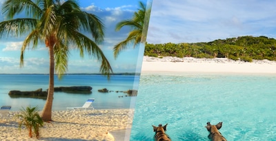 Nova Providência e Great Exuma Nova Providência e Great Exuma