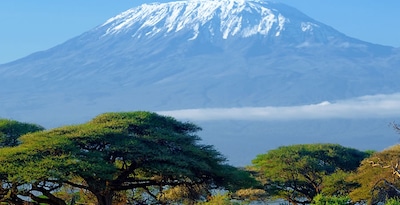 Masai Mara, Naivasha e Amboseli com Zanzibar Masai Mara, Naivasha e Amboseli com Zanzibar