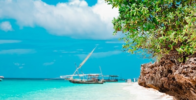 Safari na Tanzânia e Zanzibar Safari na Tanzânia e Zanzibar