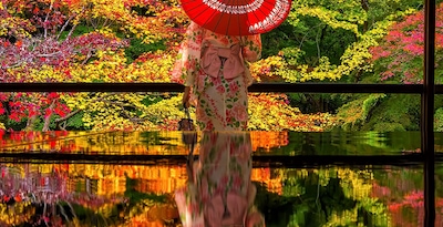 De Osaka a Tóquio e Phuket De Osaka a Tóquio e Phuket