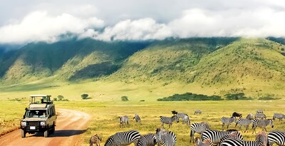 Nakuru, Masai Mara, Serengeti, Ngorongoro e Tarangire