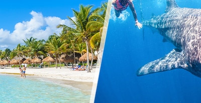 Cancún y Holbox