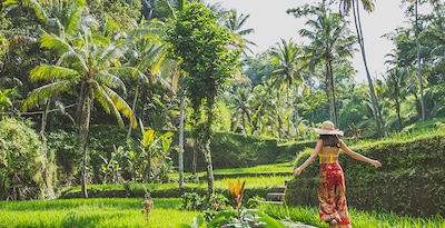 Singapura, Lovina, Candidasa, Ubud e Ilhas Gilli Singapura, Lovina, Candidasa, Ubud e Ilhas Gilli