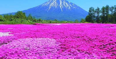Percurso por Hokkaido e Tóquio Percurso por Hokkaido e Tóquio