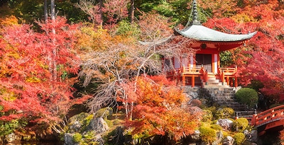 Tóquio, Takayama, Quioto e Osaka Tóquio, Takayama, Quioto e Osaka