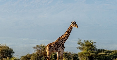 Arusha, Tarangire, Karatu, Ngorongoro e Zanzibar Arusha, Tarangire, Karatu, Ngorongoro e Zanzibar